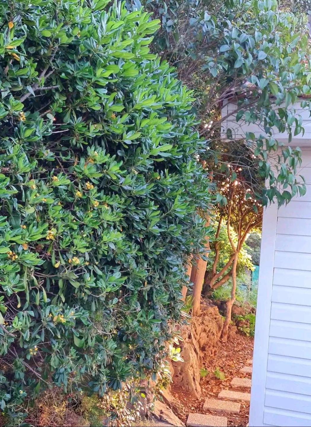 Maisonnette Saint Clair, La Vie Est Belle! Holiday home Sete